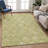 Machine Washable Indoor/Outdoor Chantille ACN2879 Lattice Rug-785149073-785149072