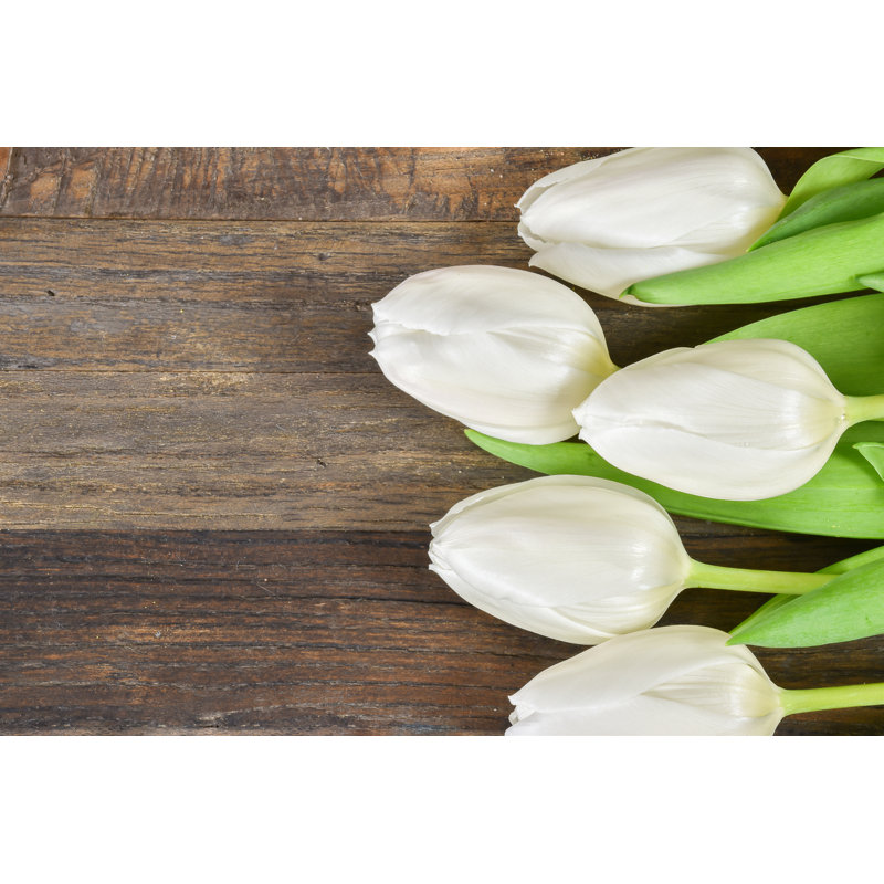 Tulipes - Photographie sur toile, H 32 po x l 48 po