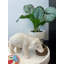 Figurines et sculptures d'animaux Cynthya