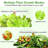LINKSTYLE CHLORA Smart Herb Garden Planter