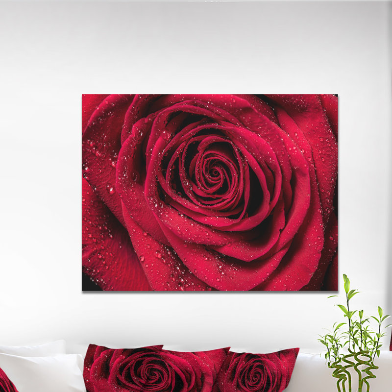 «Red Rose Petals with Rain Droplets», photographie, H 8 po x l 12 po x P 1 po, Toile tendue