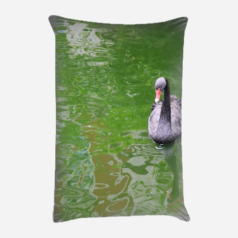 Coussin décoratif animal Marissa, Microsuède, Intérieur