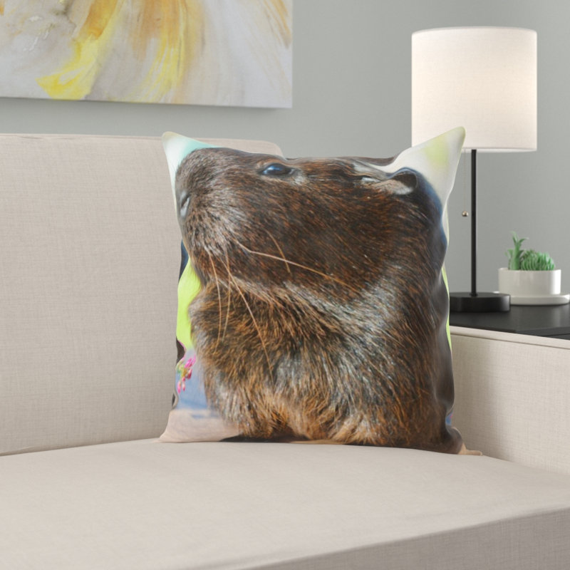 Coussin de cobaye guinée