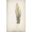 Gilded Feathers IV (Gilded Gold) Print by Barclay Butera-26949817-26949816