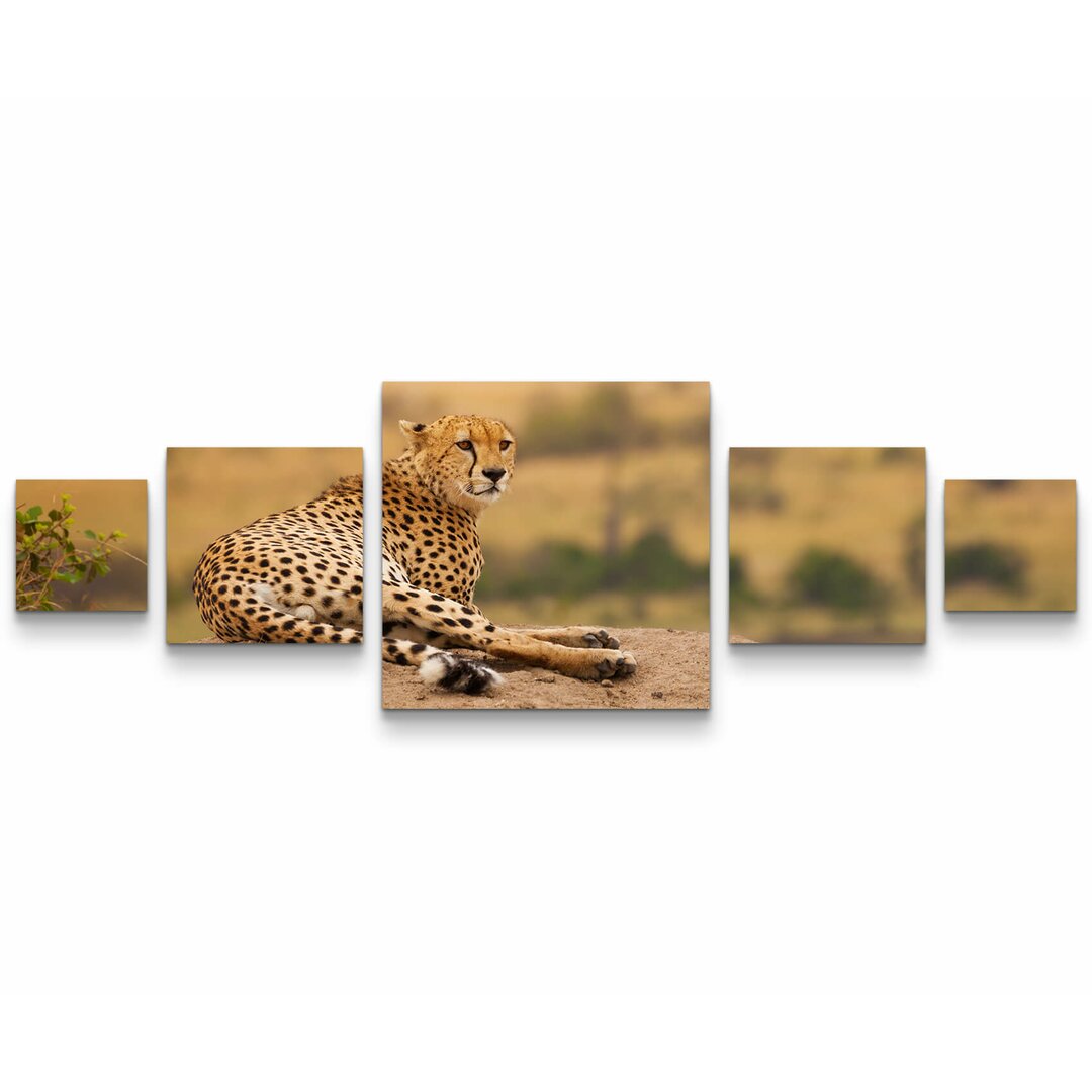 5-tlg. Leinwandbilder-Set Gepard in Afrika