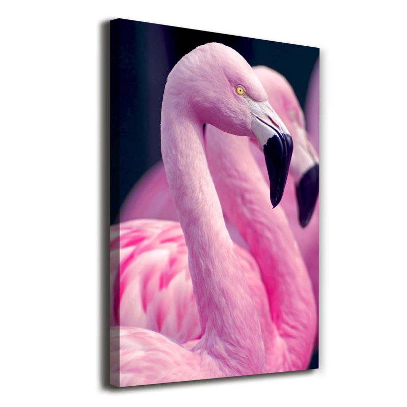 Flamingos - Wrapped Canvas Print