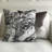 Boutique 100% Cotton Fabric