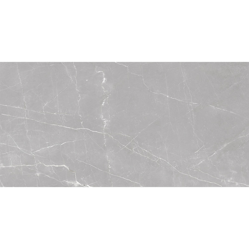 Grand carreau de mur et de plancher en porcelaine mate d'aspect marbre gris cendré 24 po x 48 po Regalia (paquet de 2 de 15,5 pieds carrés / caisse)