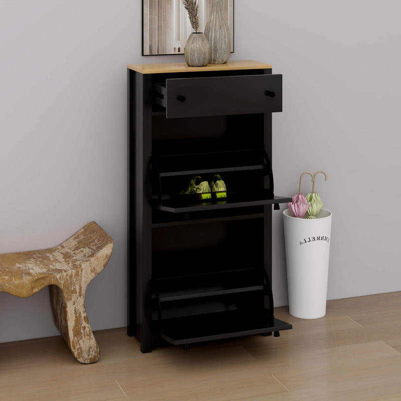 Armoire à chaussures moderne étroite avec 2 tiroirs rabattables, panneau réglable, Noir