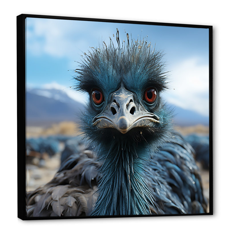 Autruche Portrait Odyssey II, Cadre flottant noir, H 36 po x l 36 po x P 1,5 po