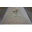1960s Artistic Ivory Cream Art Moderne Pablo Picasso Bouquet of Peace Design Rug