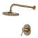 Complete Shower System with Rough-in Valve