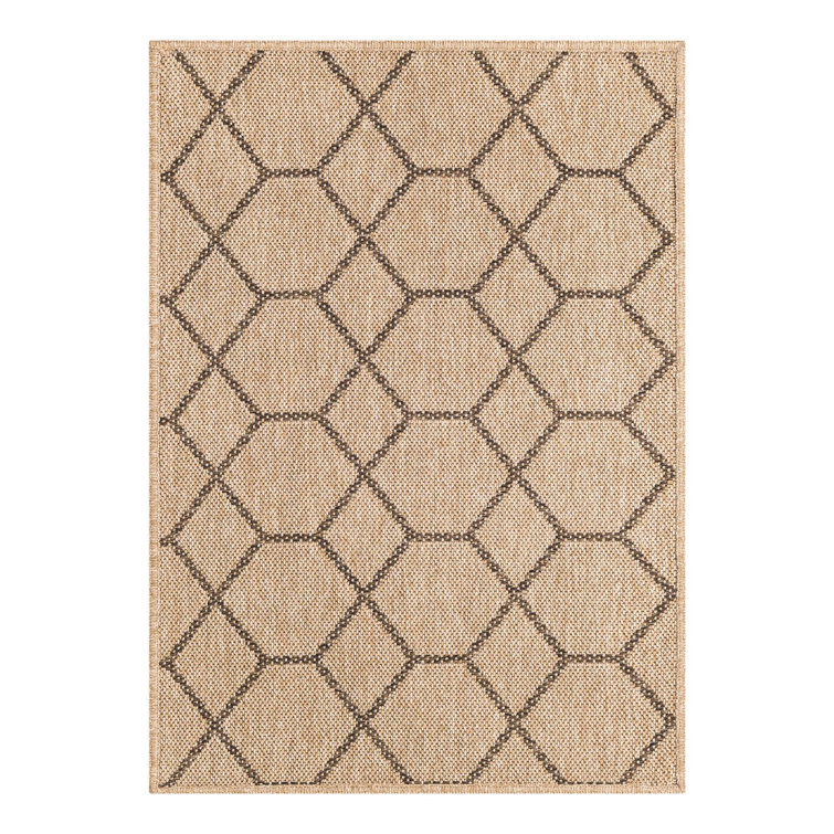 Geometric Indoor Rug