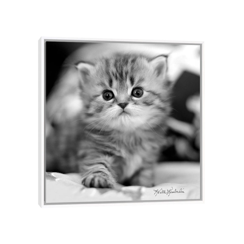 Mine by Keith Kimberlin - Print on Canvas, 45.72 cm H x 45.72 cm W, White Framed