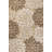 Zinnia Modern Floral Textured Weave Brown/Cream Indoor/Outdoor Rug-551018030
