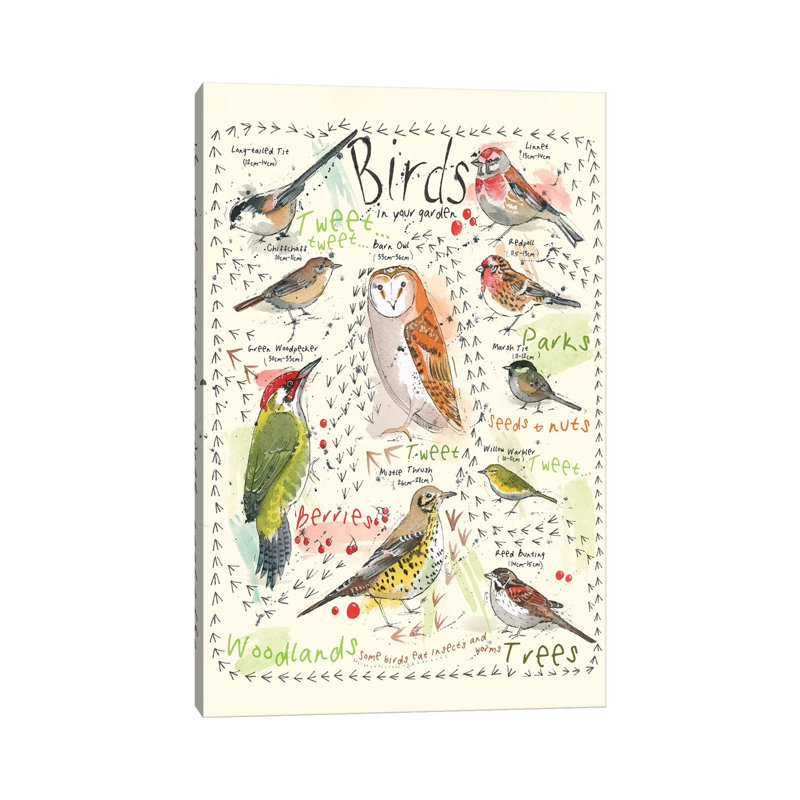 Birds In Your Garden III by Michelle Campbell - Wrapped Canvas Painting, 30.48 cm H x 45.72 cm W