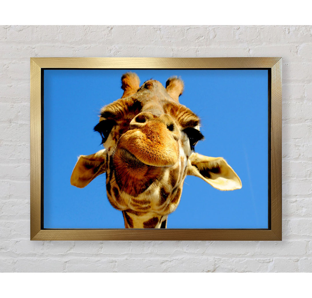 Giraffe Smile - Einzelner Bilderrahmen Kunstdrucke