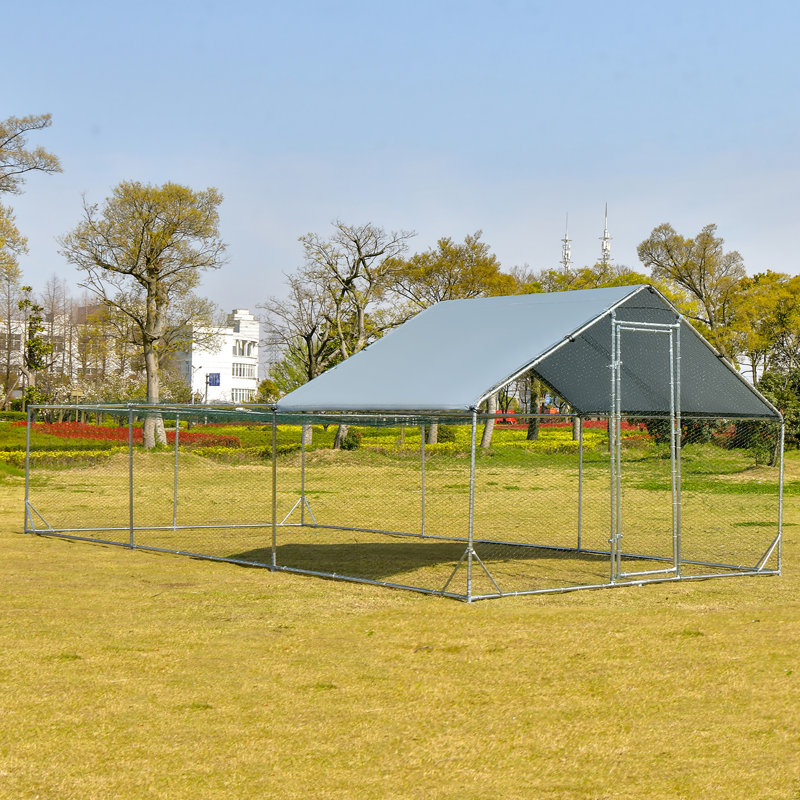 Poulailler Dayveon de 200 pieds carrés