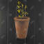 «Plant of Marjolaine», reproduction sur toile-1032883195