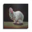 " More Carrot Please " by Lucia Heffernan-1627889040