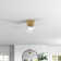 Aisling Ceiling Fan with LED Lights