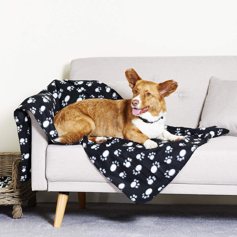 Albie Outdoor Pet Blanket, Black
