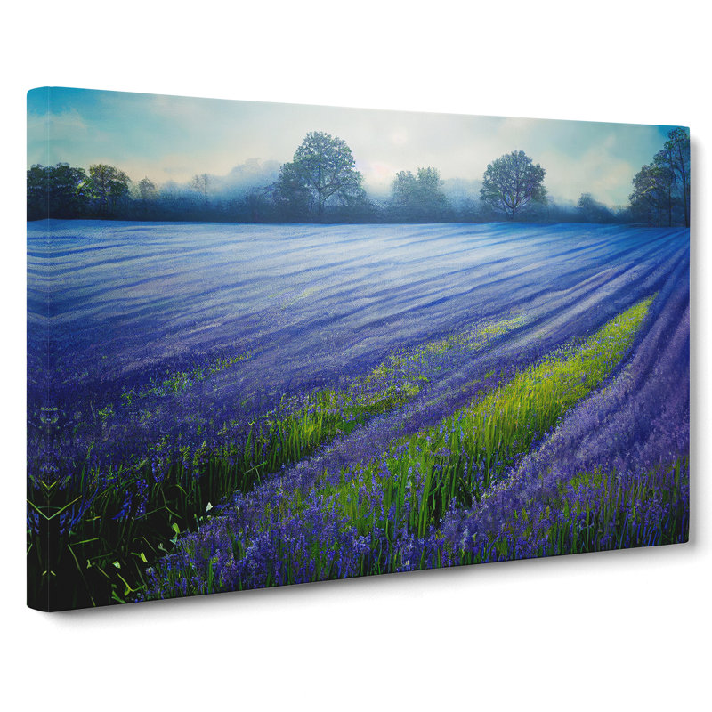 Magnetic Bluebell Field - Wrapped Canvas, 35cm H x 50cm W x 3cm D