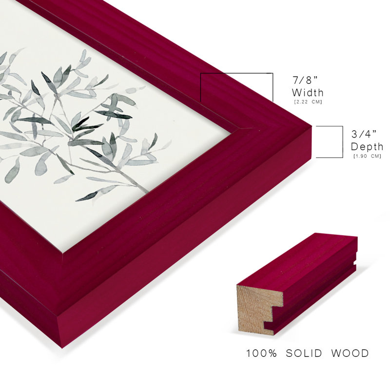 «Chereen Delicate Sage Botanical VI», reproduction d'un seul cadre, Rouge, H 8 po x l 6 po x P 1 po