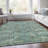 Machine Washable Indoor/Outdoor Xhevrie Sage Rug-1442435221