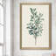 Victorian Garden Greenery I - Peinture-45359693-45359686