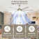65" Crewe 6 - Blade Standard Ceiling Fan with Remote Control and LED Light