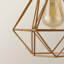 20 cm H Novelty Pendant Shade ( Screw On )-17748384