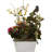 Arrangement in Planter