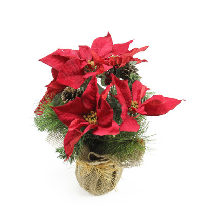 Arrangement floral de Noël 13,5 po poinsettia rouge avec pommes de pin