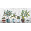 « citrons et oranges »-impression sur toile tendue-1723864849