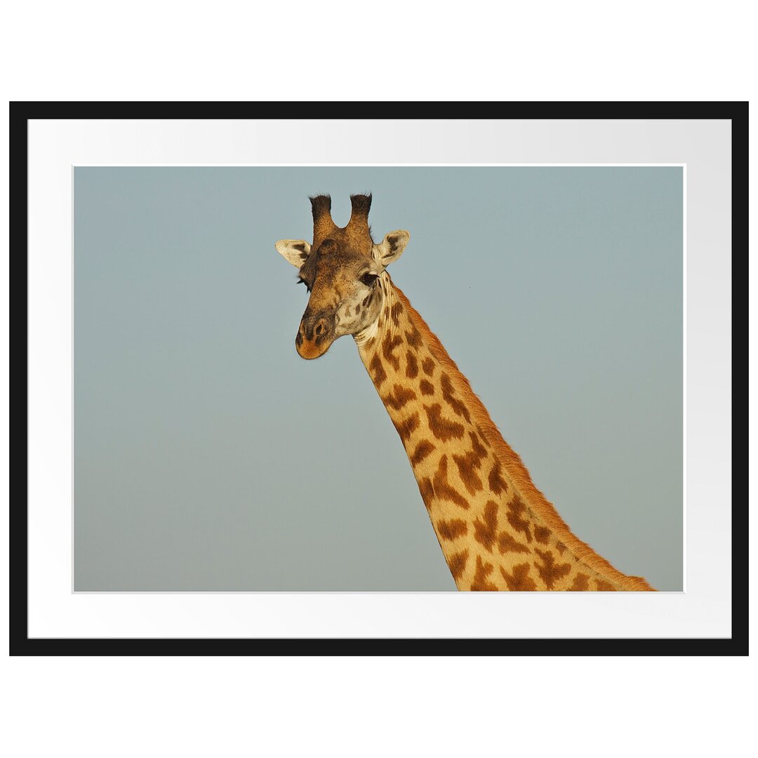 Gerahmtes Poster Majestätische Giraffe