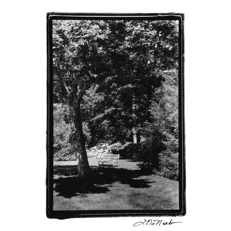 Garden Hideaway I by Laura DeNardo - Wrapped Canvas Print, 91cm H x 61cm W