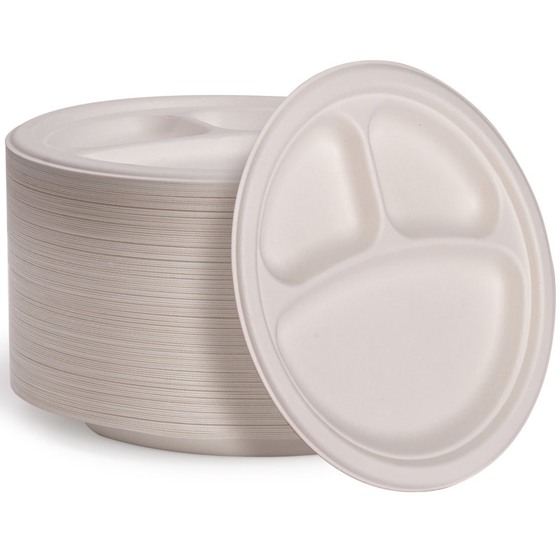 Compostable Disposable 9 Inch Paper Dinner Plates