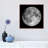 Full Moon by Roth Ritter - Print on Canvas-1341488751-1341488664