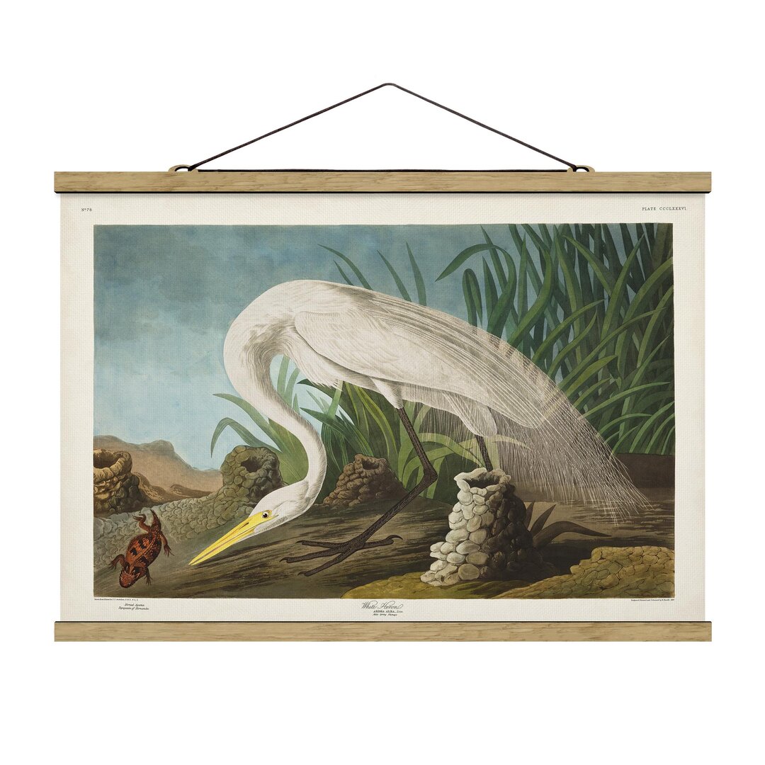 Stoffbild mit Plakatstreifen - Vintage Educational White Heron II - Querformat 2:3