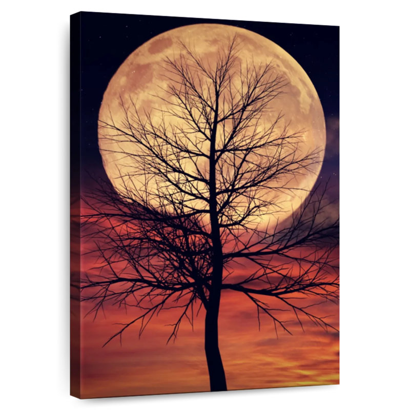 Arbre Oberle Mystic au clair de lune, H 24 po x l 16 po