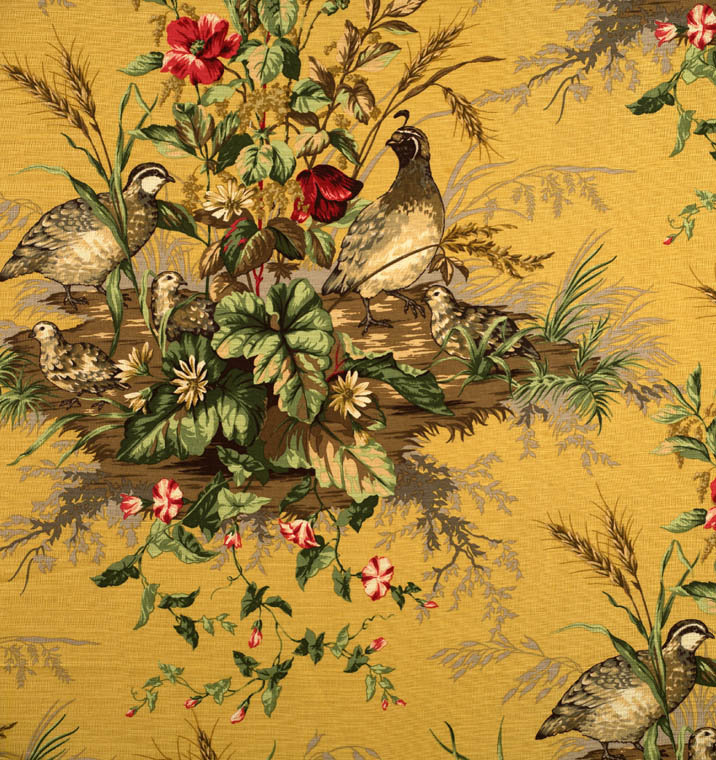 Edwin's Covey Fabric, Multi/Mustard