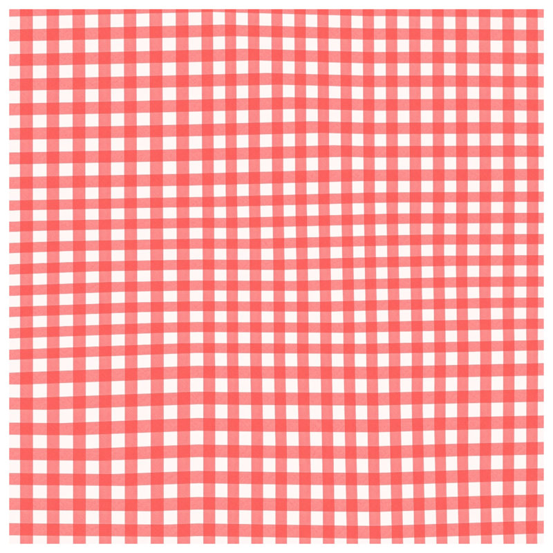 Red White Gingham Pattern Bath Mat, 24in W x 17in L