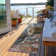 Kyrie Flatweave Washable Abstract Indoor / Outdoor Rug