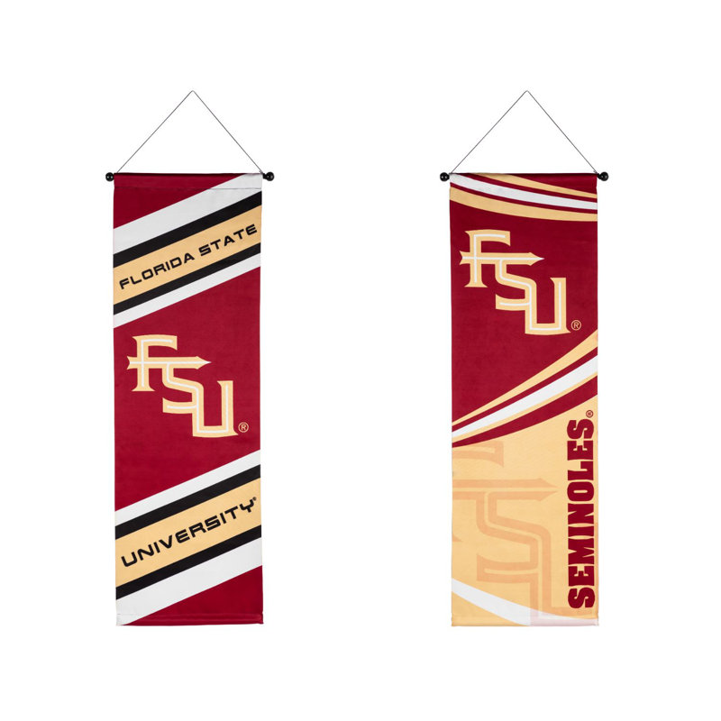 Bannière en polyester 46 po x 15 po University of Lowa, Université de Florida State