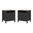 Chabot Modern 2-Drawer Nightstand Set Of 2