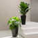 Amimma Tall Planters, 2 Set Large Rectangular Tall Planters for Outdoor Plants