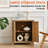 Accent Cabinet