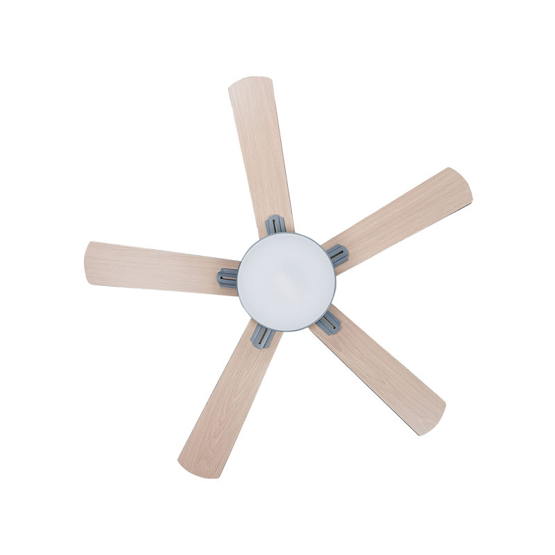 Arsav 130cm Ceiling Fan with LED Lights, Light Grey with Light Wood Blades