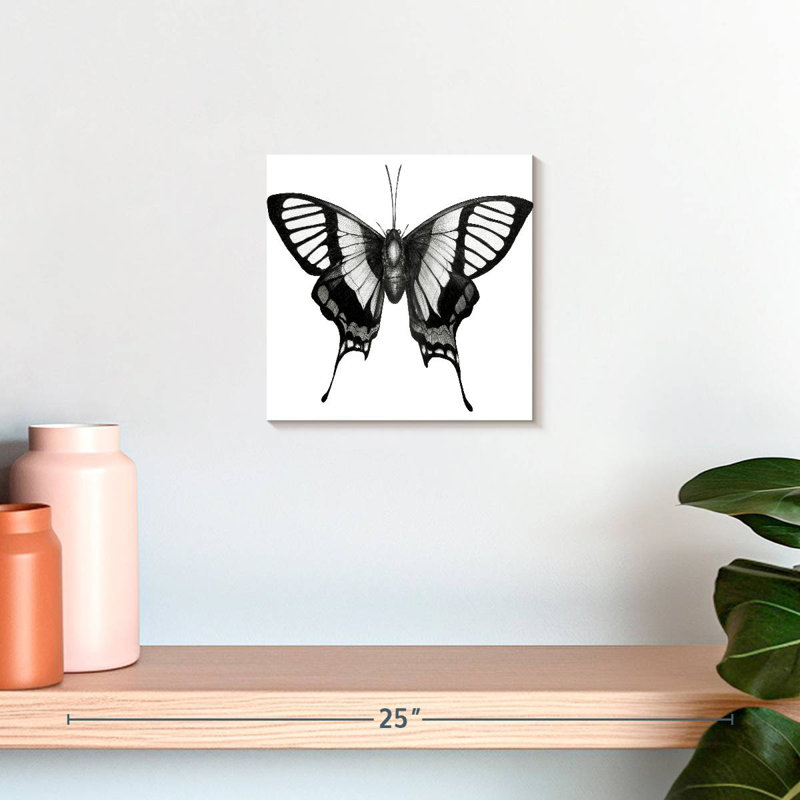 Crowle Butterfly Wings, 10" H x 10" W